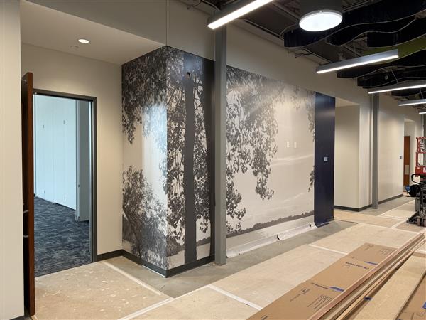 graphic wall